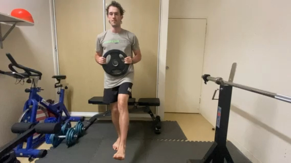 Single Leg Plate Box Squat  exercise cover photo