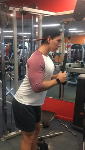 Tricep Rope PullDown exercise cover photo