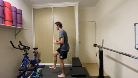 Single Leg Box Squat  exercise cover photo